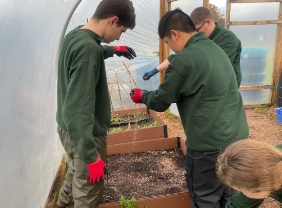 Horticulture - 7.11.25